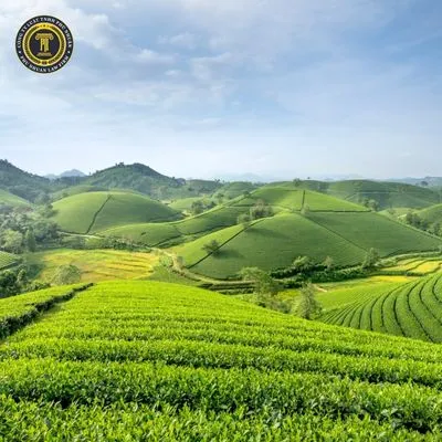 Định nghĩa công ty Cổ phần