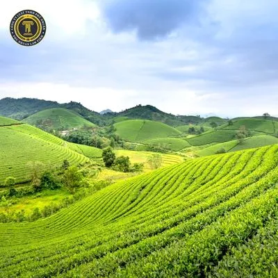 Địa chỉ tòa án nhân dân tỉnh Kiên Giang và thông tin liên hệ 